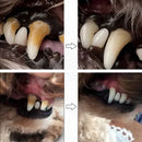 Caneta Dental para Pets DentPet – Limpa dentes amarelados, previne o tártaro e elimina o mau hálito